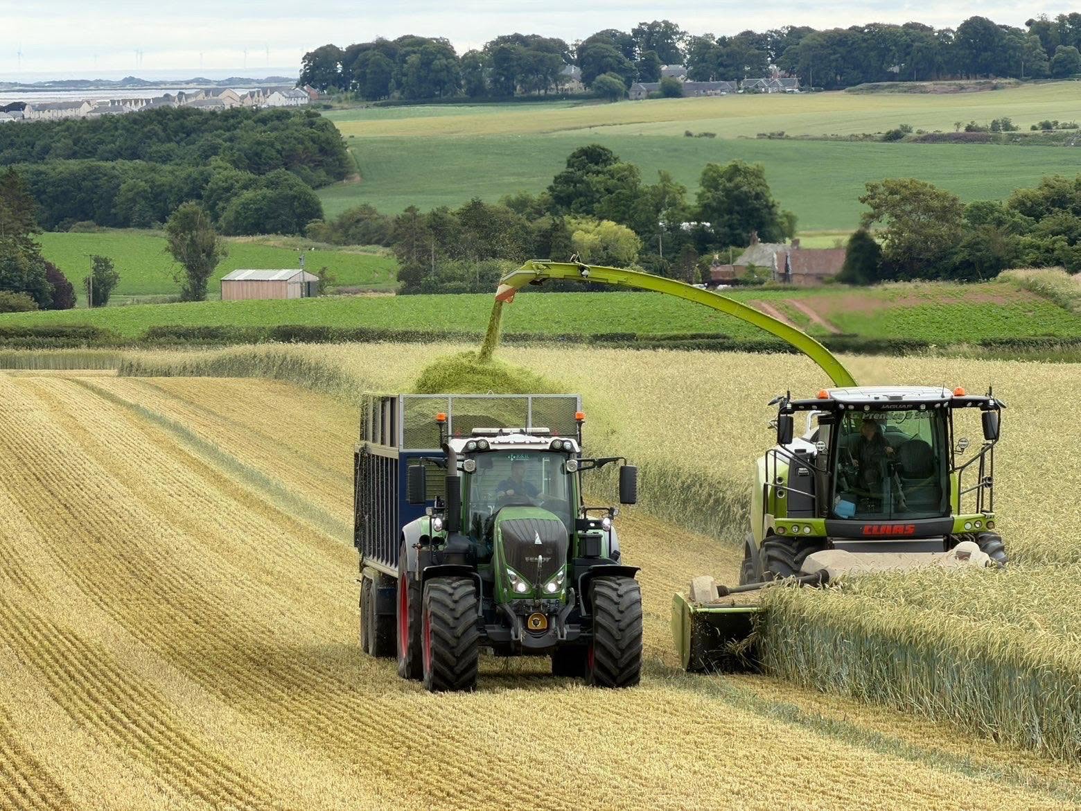 Tractor and trailer during silage harvesting